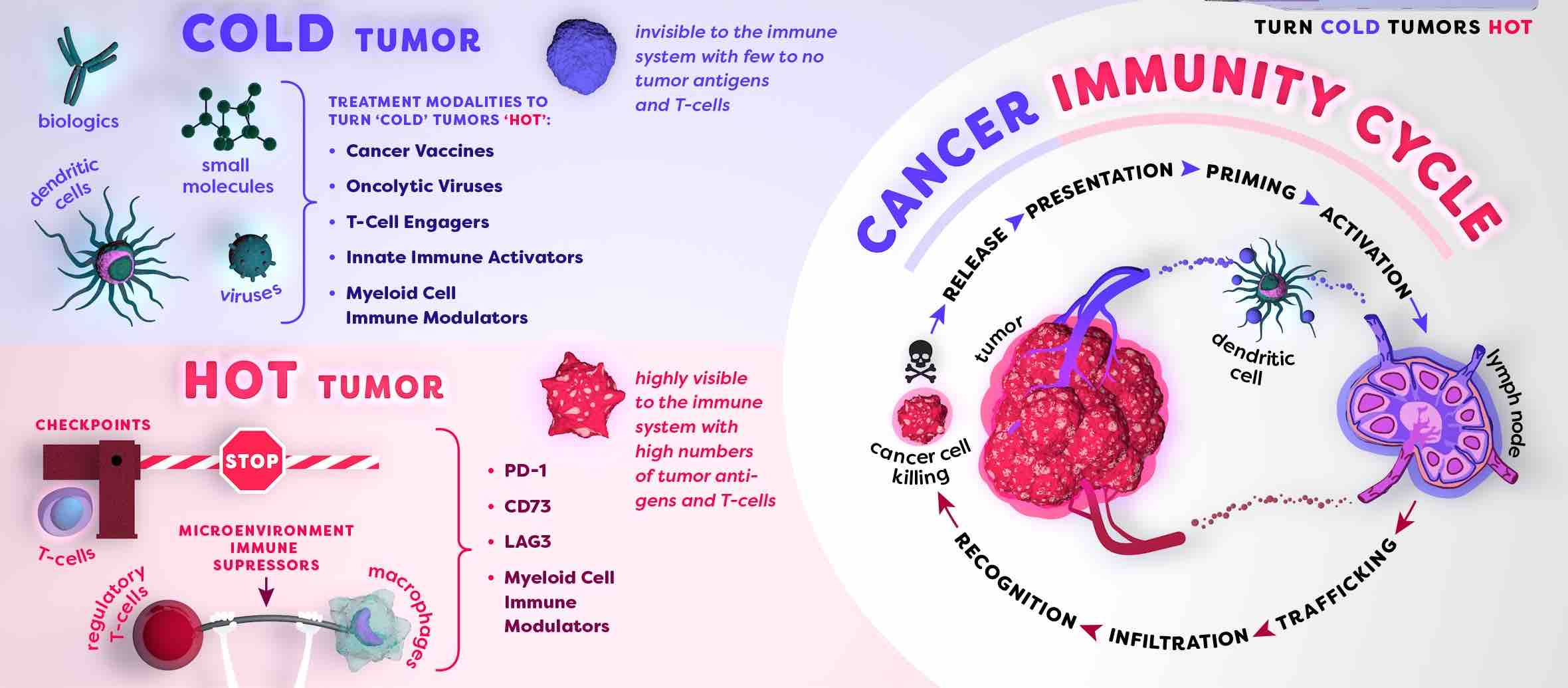 cancerimmuno.jpg